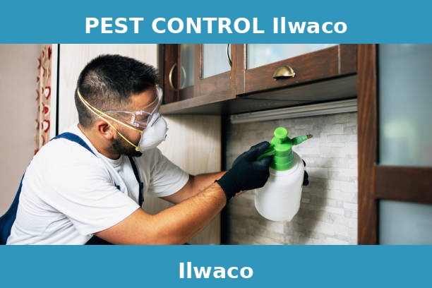 PEST CONTROL Ilwaco